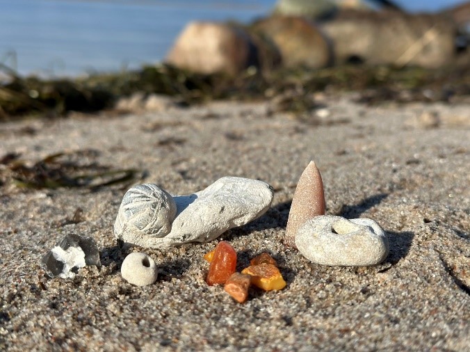 Fossilien suchen auf der Sonneninsel Rügen